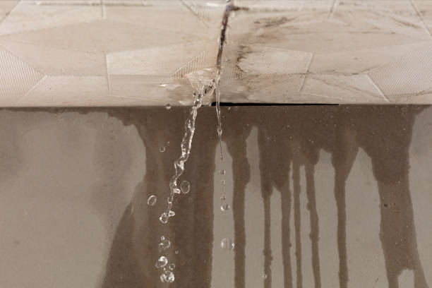 Professional Burst Pipe Cleanup technician working in Clarkston, WA